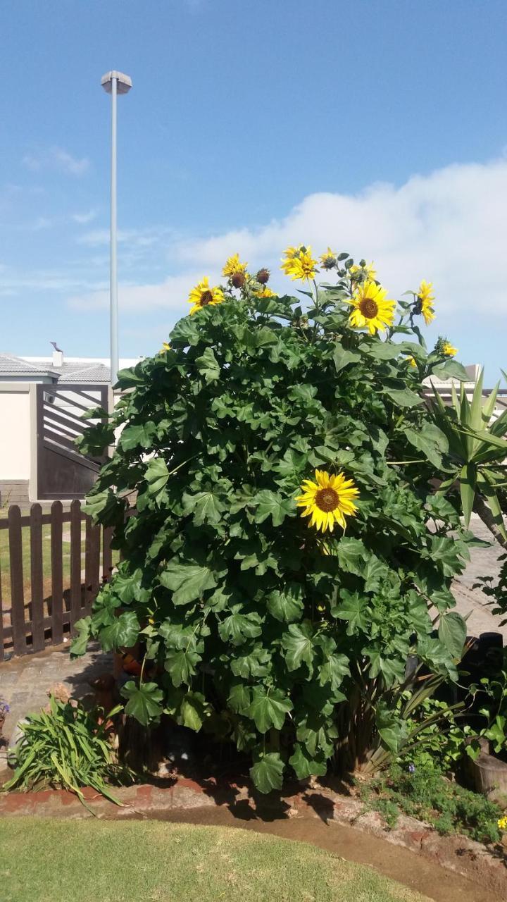 Sunflower Self-Catering Walvis Bay Exterior photo