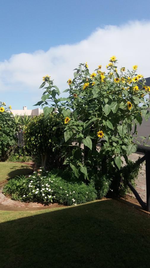 Sunflower Self-Catering Walvis Bay Exterior photo